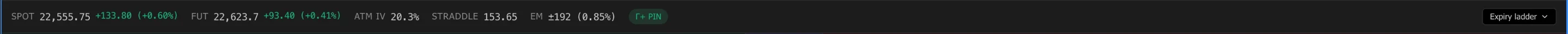 The spot and future summary bar of the option chain (dark theme)